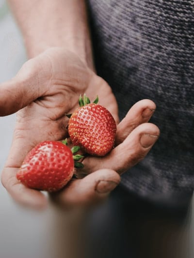 Špičková kvalita, nejnižší cena.